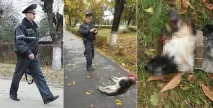 кучето полицаят