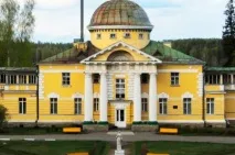 Садиба Борове на карті Ленінградської області садиба
