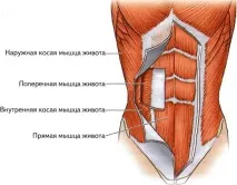 висим мускули
