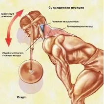 мускулите трикове