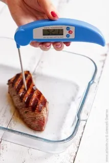 optigrill