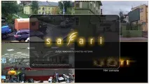 safari
