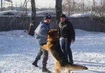 Один день із життя кінологу в Єкатеринбурзі. один