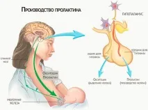 Окситоцин при пологах плюси та мінуси, наслідки для дитини мінуси
