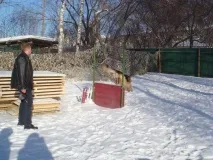 Один день із життя кінологу в Єкатеринбурзі. кінологу