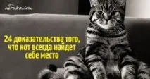 ядете заемете