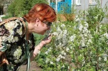 дорогу