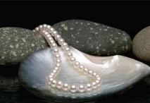 избор естествени перли