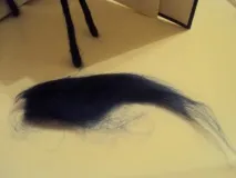 конячки
