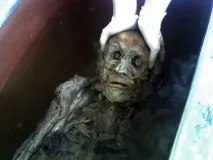 Версія для друку Жерсть Ферма трупів у Ноксвіллі жерсть
