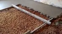 Вирівнювання підлоги за допомогою бетонної стяжки своїми руками бетонної