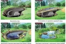 водойма