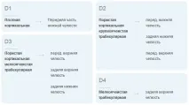 імплантату