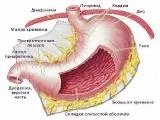 стомашно-чревния стомашно-чревния