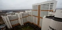 companies разработчик