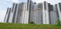 разработчик разработчик