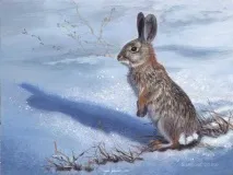 Заячі какашки мене