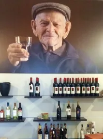 південна
