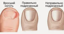 перфектния правила