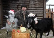 коза рогата