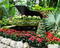 Flora Grubb Gardens Just Chrys