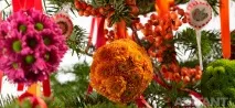 градина Chrys 2012