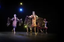 мелая александрийски