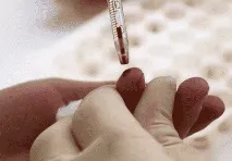 норма норма
