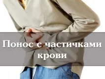 тест тест