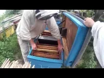 препоръки тест