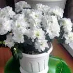 грижите закрито