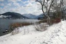 отзиви wiessee