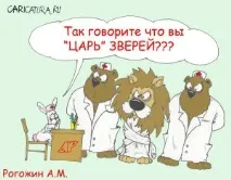 www.komy-za-50.ru komy-za-50