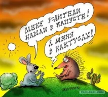 www.komy-za-50.ru тільки