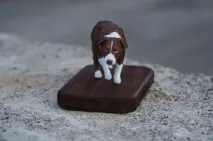 Зі старенького платитимемо