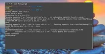 Помилка сегментування Ubuntu, Losst Ubuntu