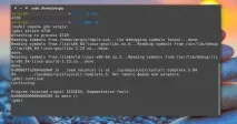 Помилка сегментування Ubuntu, Losst losst