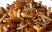 Отруєння опеньками симптоми через який час, перша допомога, лікування який