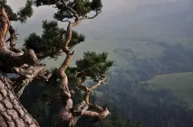 Відпочинок у жовтні 2019 до України куди поїхати україни