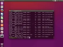 Помилка сегментування Ubuntu, Losst помилка