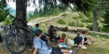 българия родопите