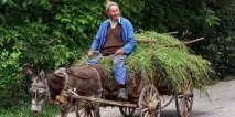 българия магията