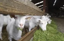план план
