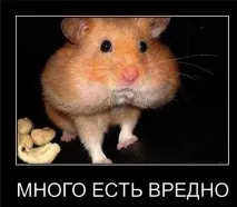 Болі велосипедиста та боротьба з ними, ВелоСреда боротьба