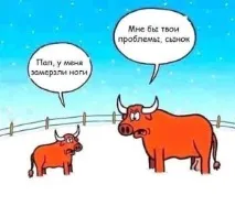 www.komy-za-50.ru тільки