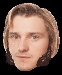бороди