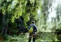 Що означає вміння орієнтуватися орієнтуватися