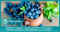 боровинки противопоказания