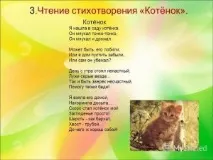 Чим годувати кота щоб не було запаху, Наші кішки та собаки кота