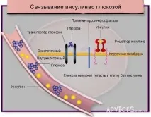 Що робити, якщо у вас виявили діабет виявили